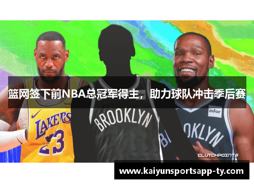 篮网签下前NBA总冠军得主，助力球队冲击季后赛